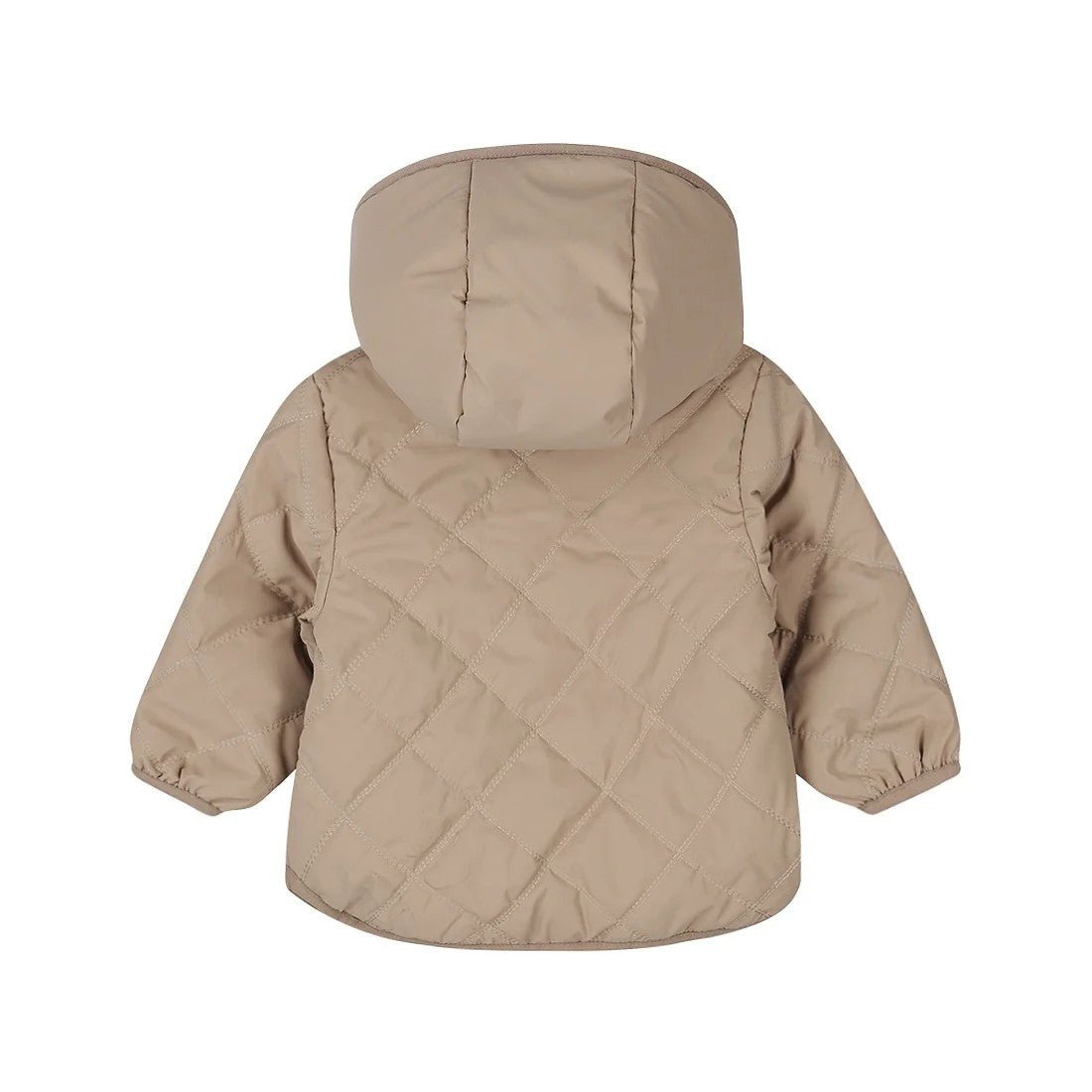 Manteau 56587