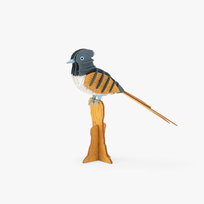Puzzle 3D Gobe-mouche de paradis
