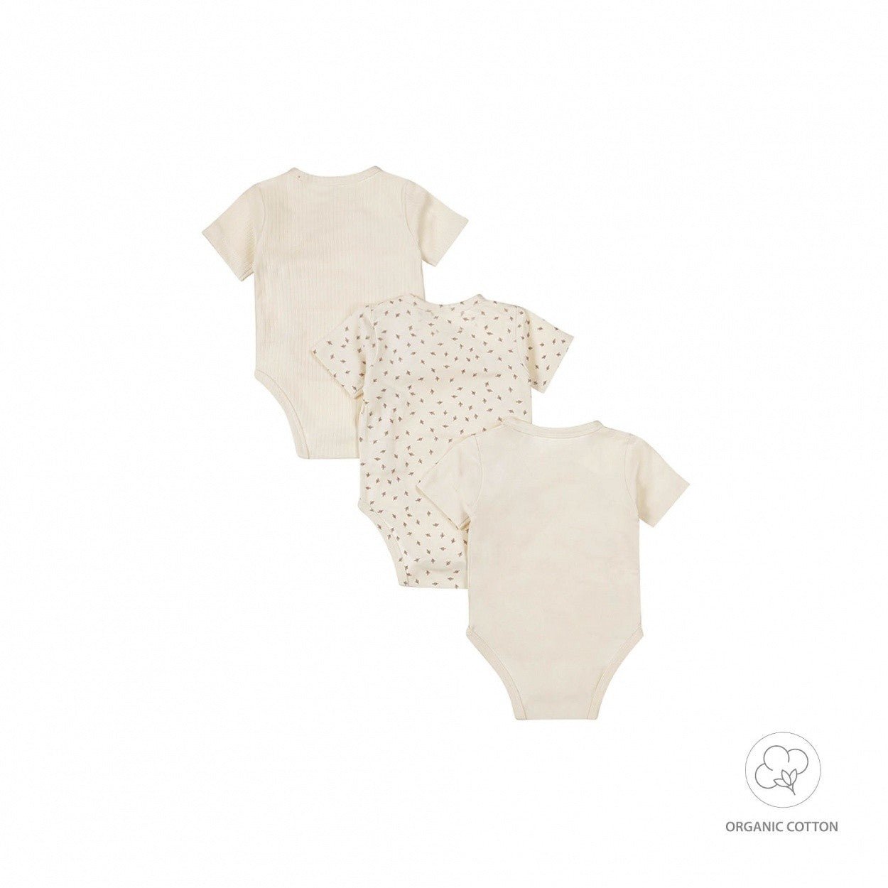 Lot de body 1242