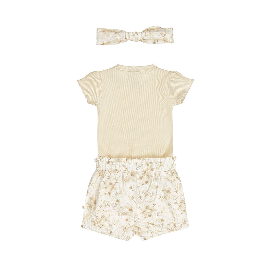 Ensemble 58341